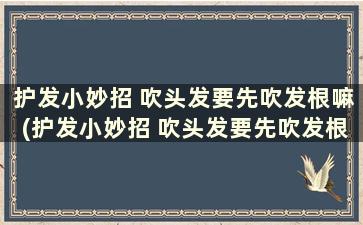 护发小妙招 吹头发要先吹发根嘛(护发小妙招 吹头发要先吹发根还是头发)